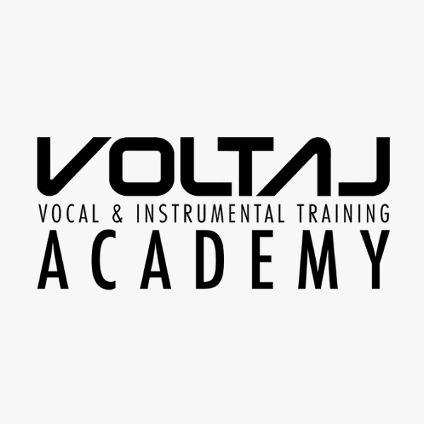 Logo Voltaj Academy